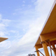 Image for article titled Why the White House Is Spending Millions to Promote Wood Skyscrapers